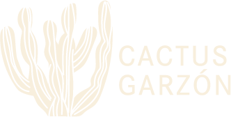 Cactus Cactus